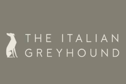 The Italian Greyhound